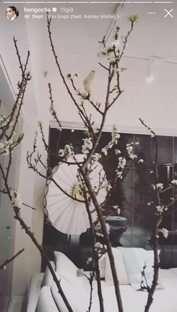 Bên trong biệt thự, Hà Hồ không quên mua hoa Tết về cắm. Năm nay, nữ ca sĩ chơi mận rừng trắng thay vì đào và mai.