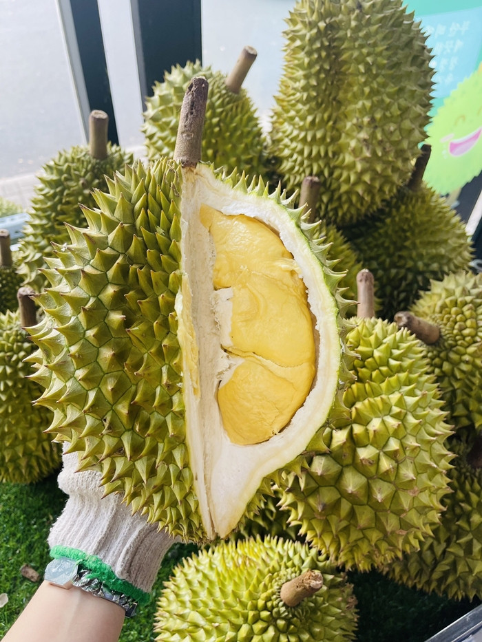 Sầu riêng Ri6 nổi bật với cơm vàng, hạt lép và các múi sầu khô ráo. Quả sầu riêng Ri6 có hương vị ngọt ngào, vị béo vừa phải. Ảnh: Facebook