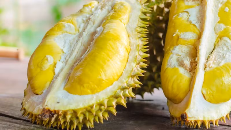 Sầu riêng Dona chín có màu xanh sáng, nhạt, cơm khá dày và có màu vàng, hạt lép hoặc nhỏ và khô ráo. Sầu riêng Dona vị ngọt thanh và không quá đậm. Ảnh: Bachhoaxanh