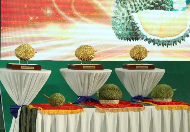 Quả sầu riêng thứ hai được đưa ra đấu giá thuộc giống sầu riêng Dona, được đấu giá thành công 900 triệu đồng. Ảnh: Tiền phong