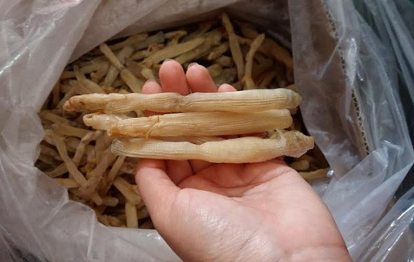 Sá sùng giá rẻ bất ngờ? - Hình 2 Sa sung gia re bat ngo?-Hinh-2