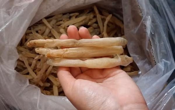 Sá sùng giá rẻ bất ngờ? - Hình 2 Sa sung gia re bat ngo?-Hinh-2