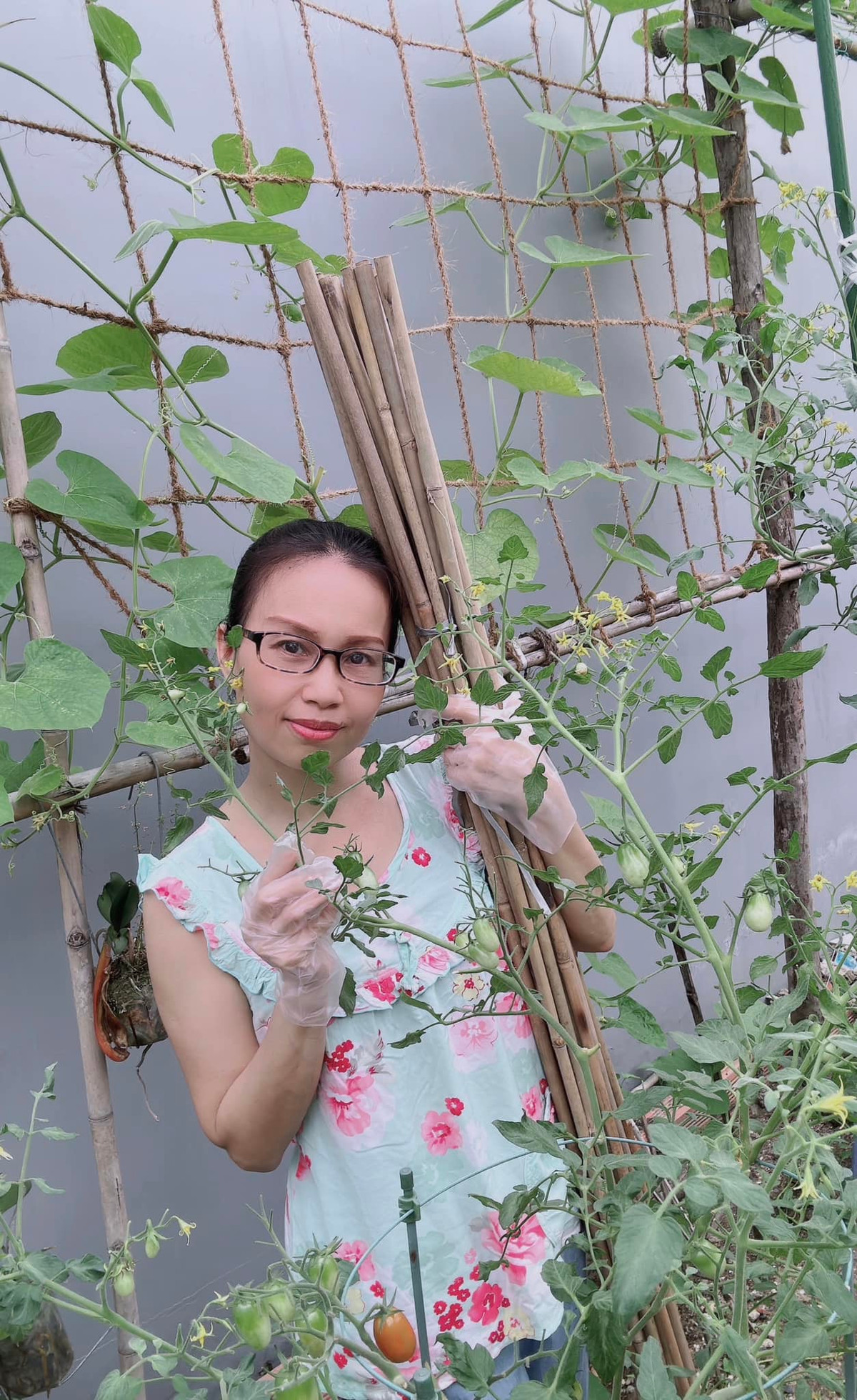 Cẩm Ly trồng nhiều loại rau quả sạch cung cấp thực phẩm cho gia đình dùng mỗi ngày.