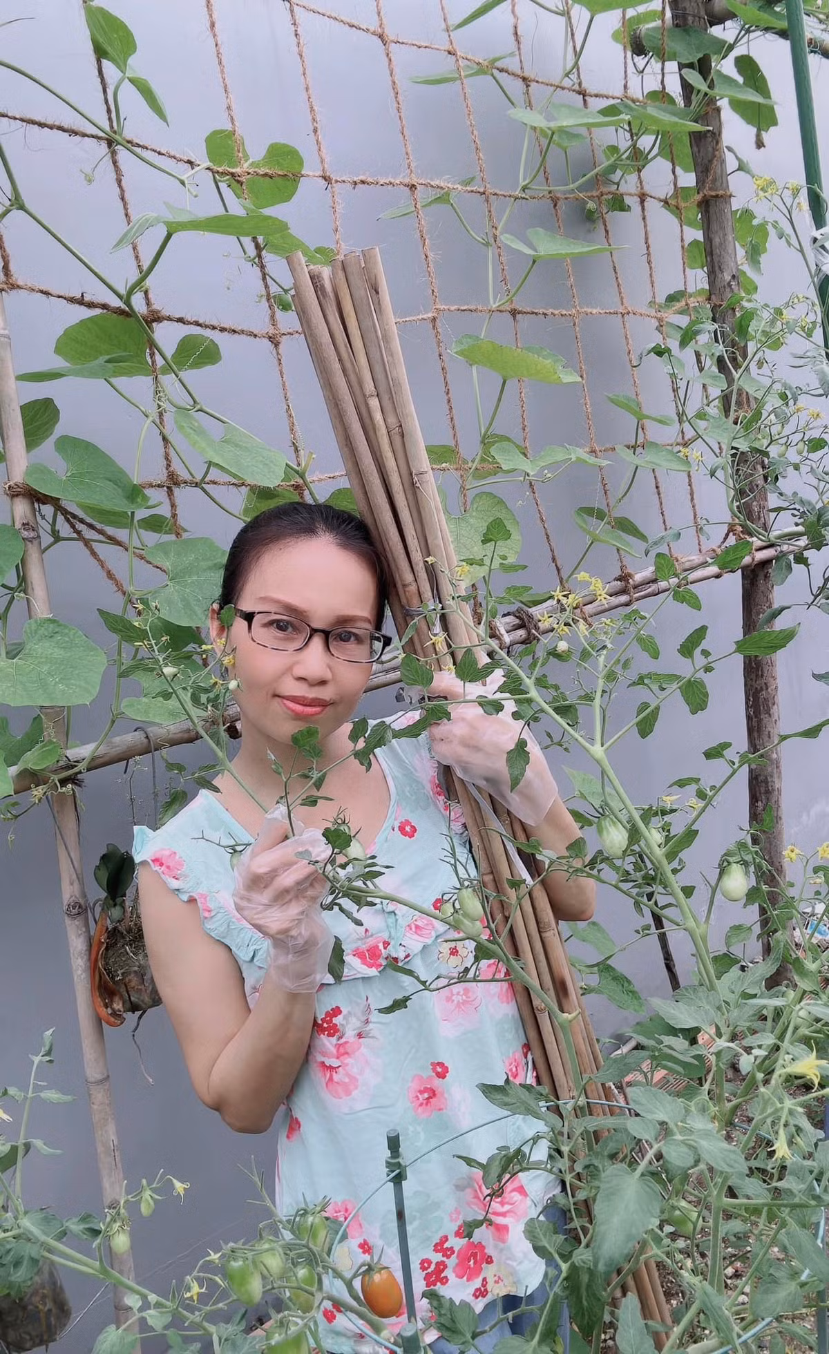 Cẩm Ly trồng nhiều loại rau quả sạch cung cấp thực phẩm cho gia đình dùng mỗi ngày.