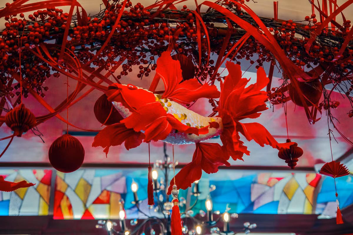 Cá chép độc đáo và bắt mắt.