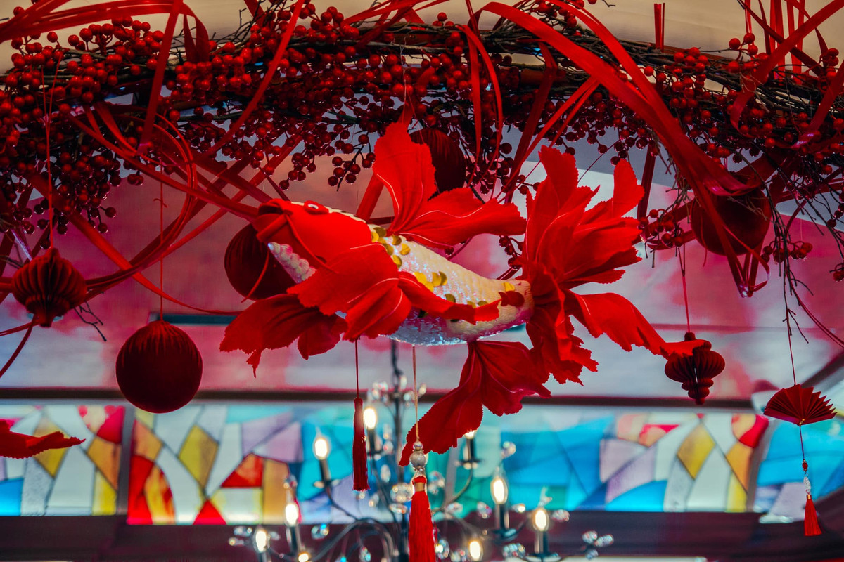 Cá chép độc đáo và bắt mắt.