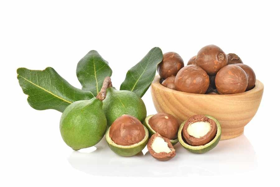 Theo Hội đồng hạt quả khô thế giới (INC), trong 5-6 năm tới, nhu cầu sử dụng hạt nhân mắc ca duy trì ở mức tăng trưởng cao. Dự báo đến năm 2030, lượng cung mắc ca trên toàn thế giới mới chỉ đáp ứng được 50% nhu cầu tiêu thụ của thị trường. Ảnh: Dacsantaybac