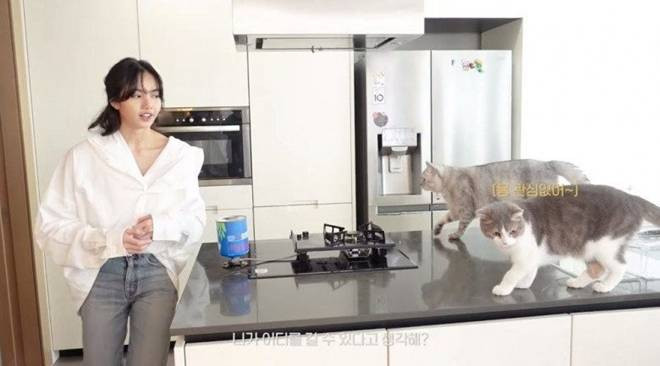 Bên cạnh đó, Lisa từng sống trong một căn hộ sang trọng tại Seoul, được thiết kế tối giản theo tông màu trắng - xám. Ảnh: Allkpop