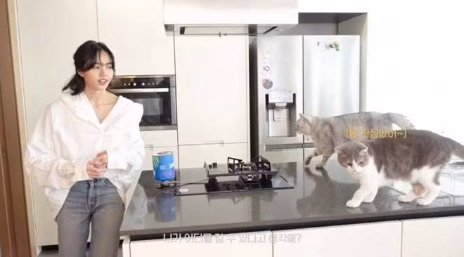 Bên cạnh đó, Lisa từng sống trong một căn hộ sang trọng tại Seoul, được thiết kế tối giản theo tông màu trắng - xám. Ảnh: Allkpop