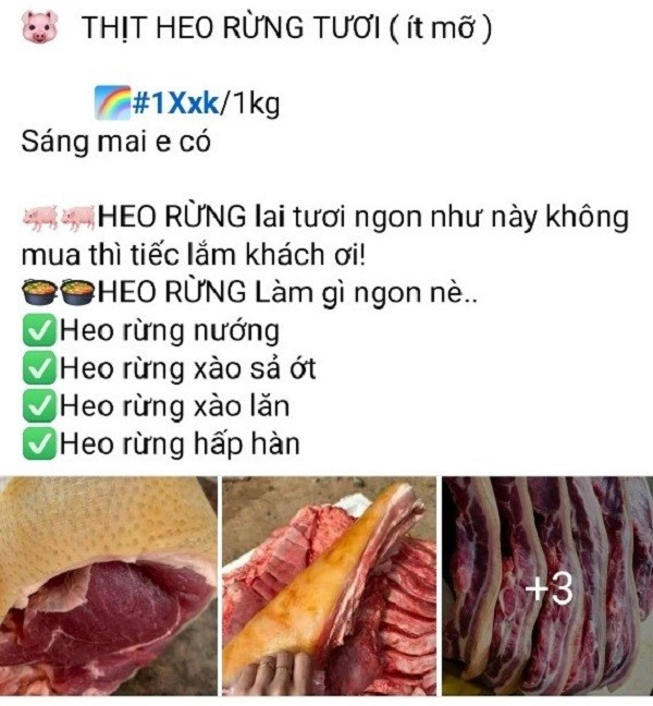 Thịt heo rừng “nhái” bán tràn lan chợ mạng Thit heo rung “nhai” ban tran lan cho mang