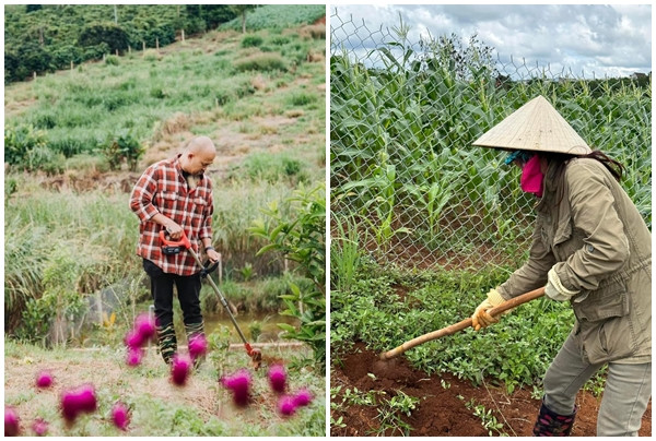 Vợ chồng Hoàng Lê Vi không thuê người giúp việc mà tự tay chăm sóc từng góc nhỏ trong vườn. Ảnh: Vietnamnet