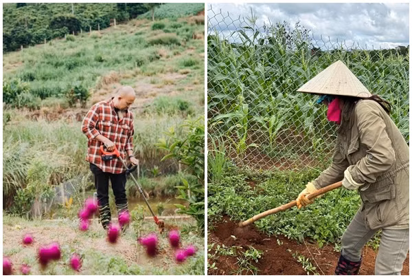 Vợ chồng Hoàng Lê Vi không thuê người giúp việc mà tự tay chăm sóc từng góc nhỏ trong vườn. Ảnh: Vietnamnet