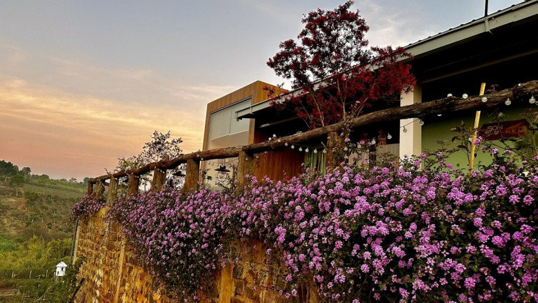 Bao quanh nhà là hàng hoa tím thơ mộng. Ảnh: Đời sống pháp luật