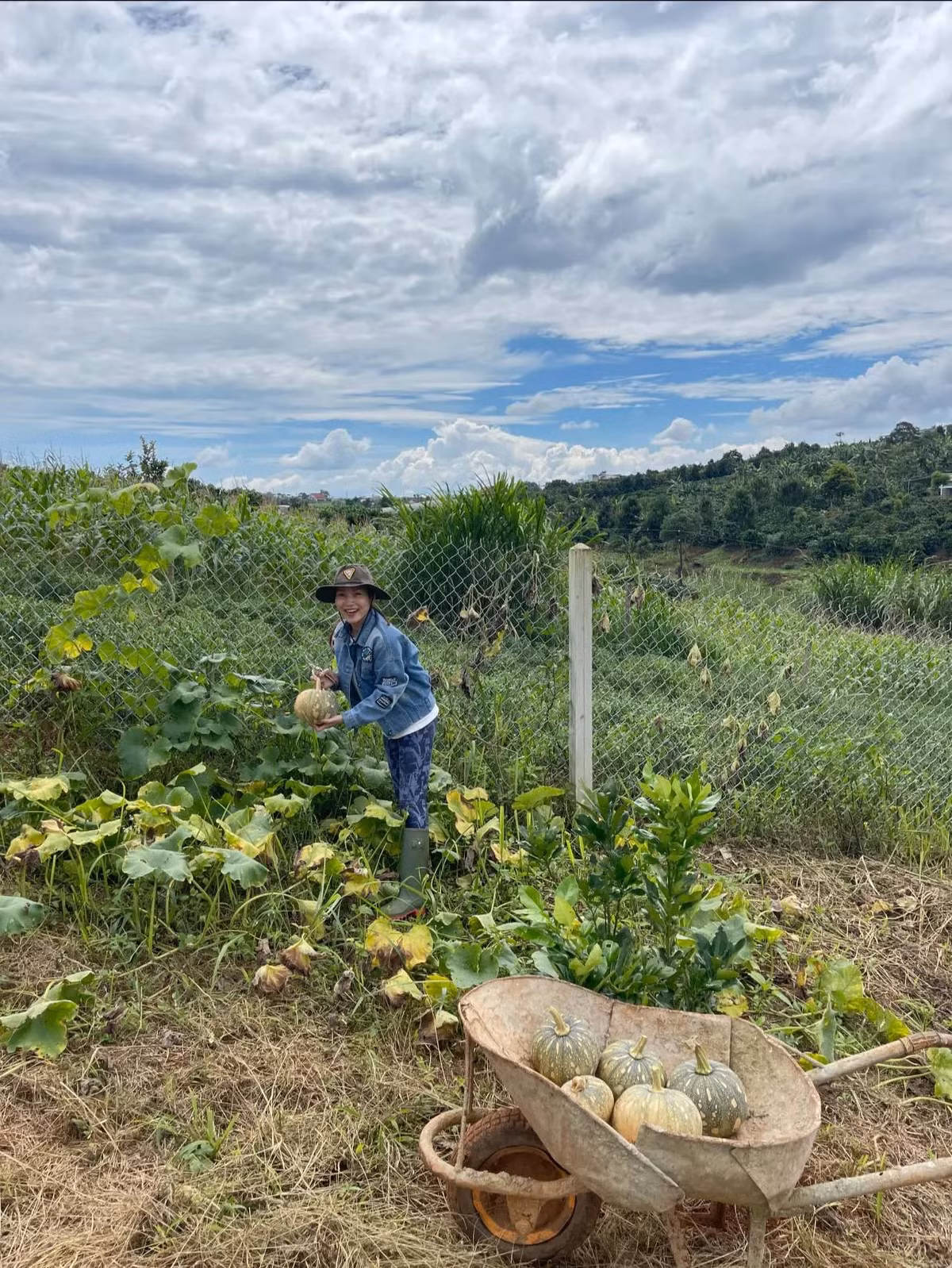 Trong vườn, vợ chồng Hoàng Lê Vi trồng các loại rau, cây ăn quả như hồng, ổi, vú sữa, bí ngô... Ảnh: Đời sống pháp luật
