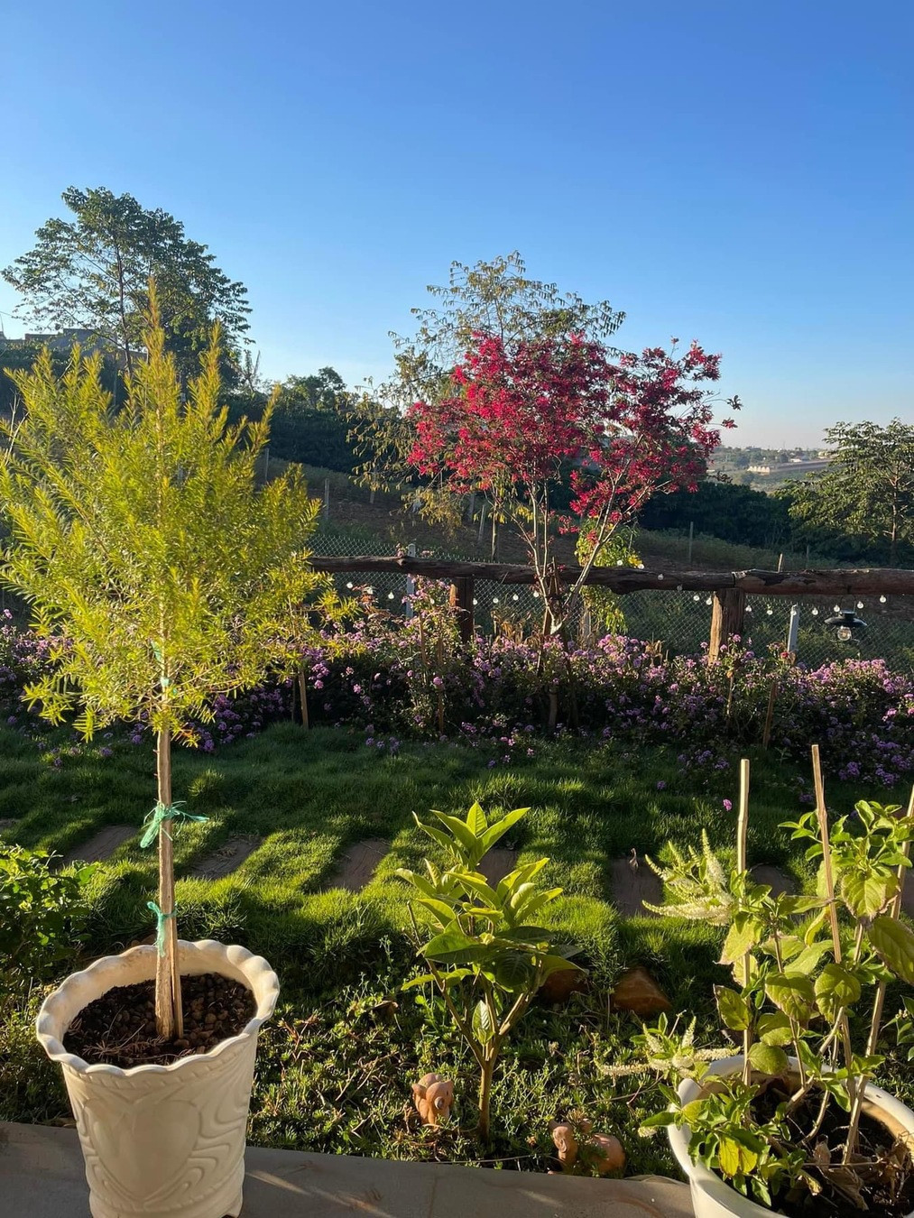 Toàn bộ không gian nhà vườn rộng rãi, thoáng mát do nữ ca sĩ lên ý tưởng thiết kế. Ảnh: Vietnamnet