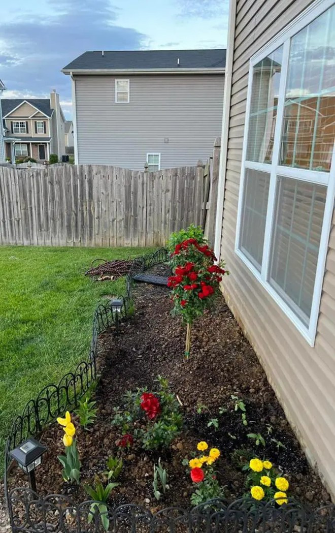 Xung quanh nhà trồng nhiều hoa, đua nhau khoe sắc.