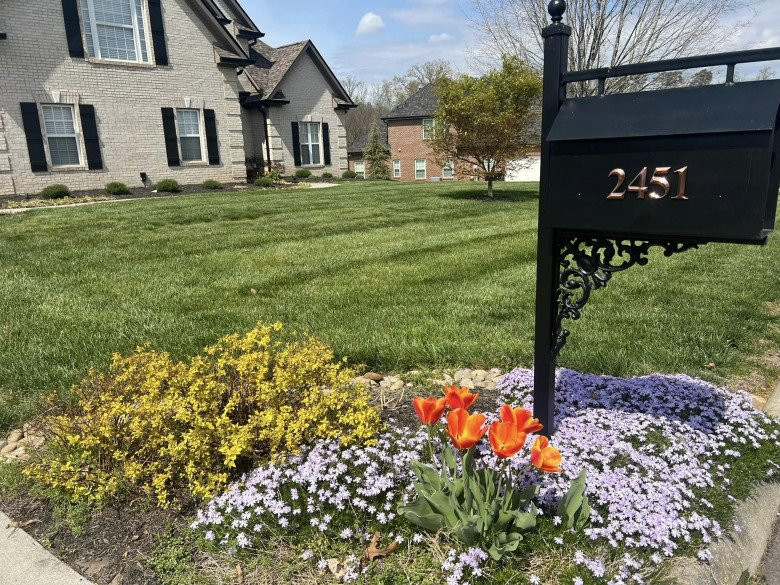 Bên cạnh không gian trong vườn, Trang Trần còn chia sẻ khung cảnh xung quanh nhà với sân cỏ rộng rãi.