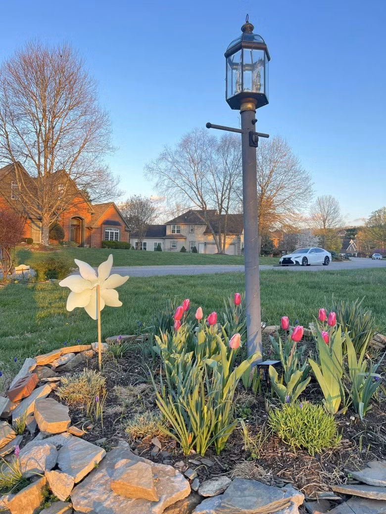 Bị cho là ở khu ổ chuột nhưng với khung cảnh này, nhiều người mơ cũng không được. Nguồn ảnh: FBNV