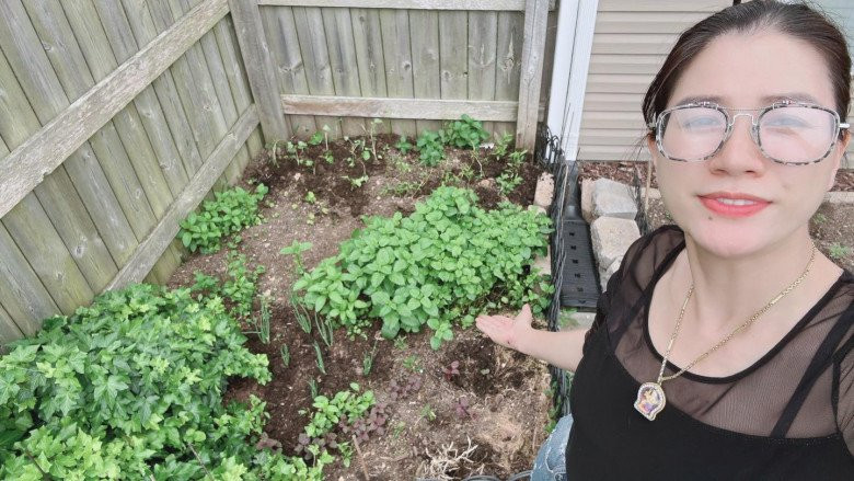 Mới đây, Trang Trần chia sẻ khu vườn nhỏ trồng rau trong nhà.