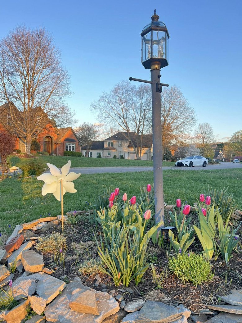 Bị cho là ở khu ổ chuột nhưng với khung cảnh này, nhiều người mơ cũng không được. Nguồn ảnh: FBNV