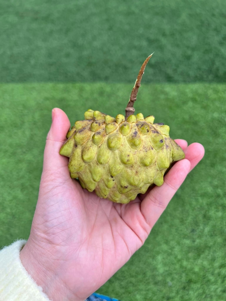 Mỗi dịp thu hoạch rau quả, nàng hậu đều chia sẻ niềm vui với bạn bè.