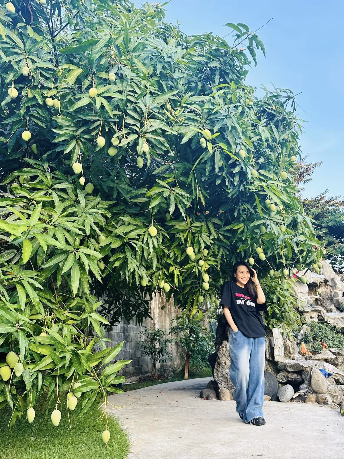 Qua đây, khán giả biết thêm được ngôi nhà vườn rộng như "biệt phủ" của ca sĩ Mỹ Tâm. 