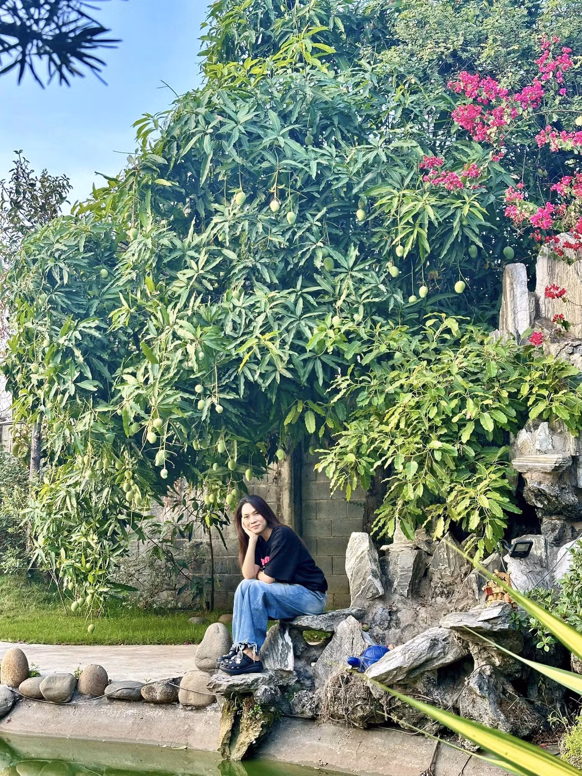 Không gian nơi đây thoáng đãng và yên bình. Cạnh cây xoài là hồ nước xanh mát cùng những hòn non bộ trang trí đẹp mắt.