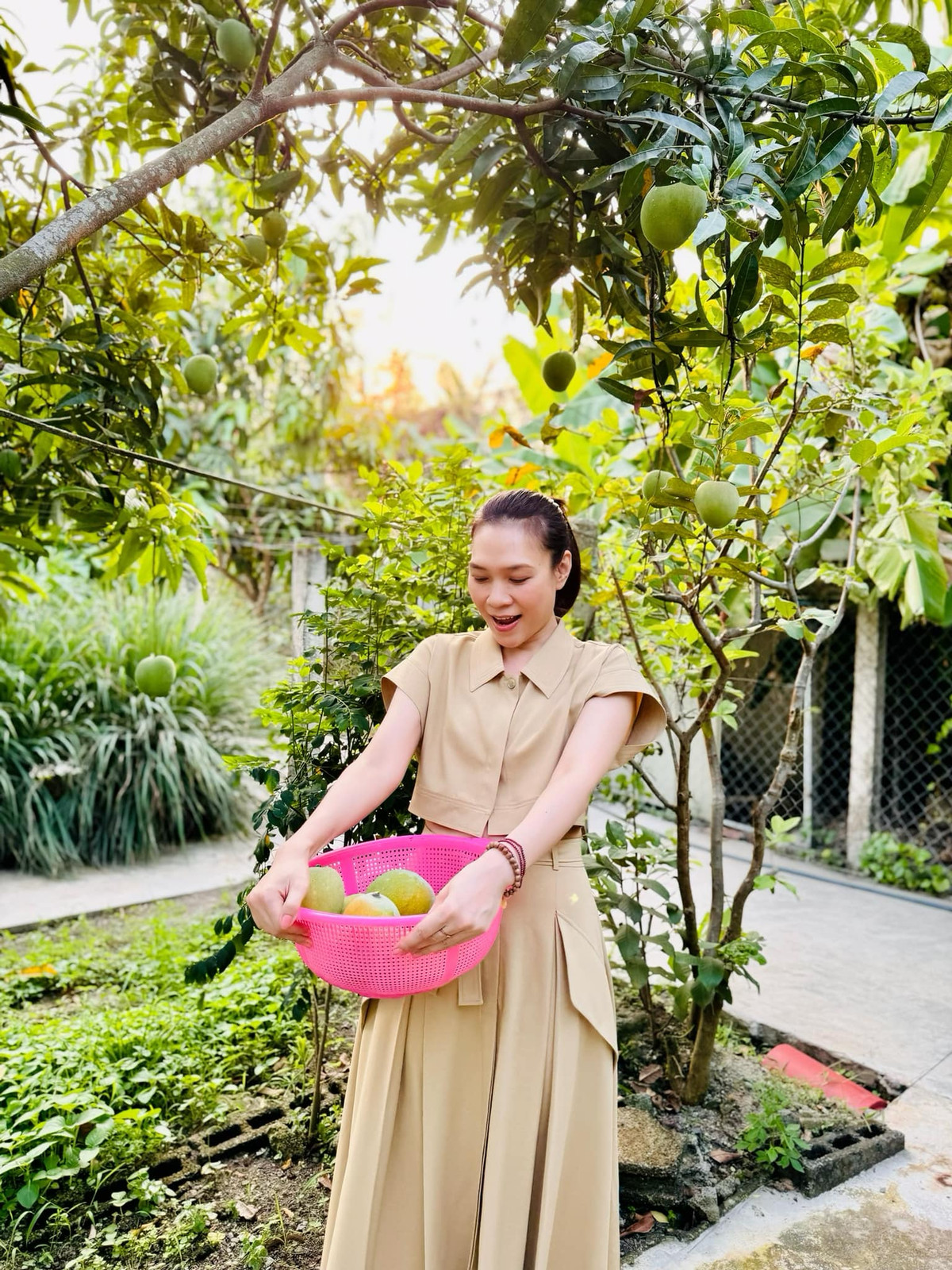 Được thu hoạch trái trong vườn có lẽ là "niềm đam mê" của giọng ca sinh năm 1981.