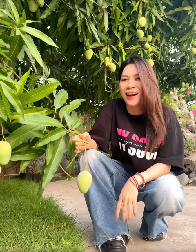 Không chỉ đụng đầu, những trái xoài còn la đà xuống mặt đất.