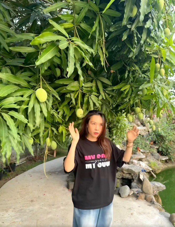 Cây xoài ra trái "bạt ngàn", quả lúc lỉu từ trên xuống dưới.