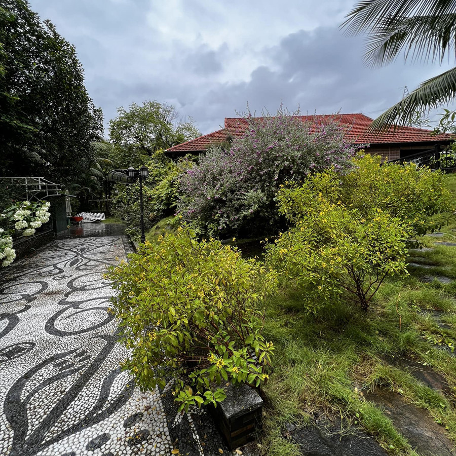 Căn nhà được ví như một "biệt phủ" thu nhỏ với không gian rộng rãi, thoáng đãng nhiều cây xanh.