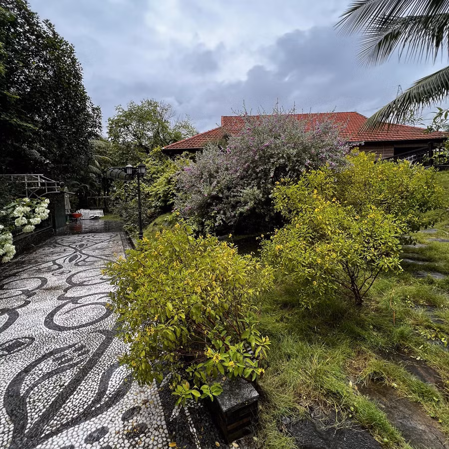 Căn nhà được ví như một "biệt phủ" thu nhỏ với không gian rộng rãi, thoáng đãng nhiều cây xanh.