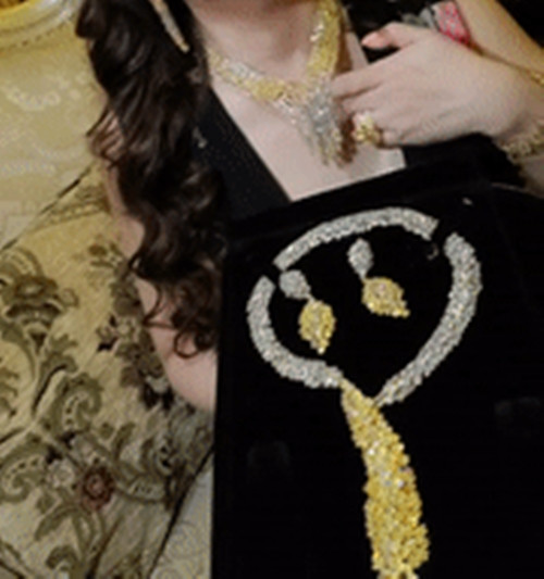 Trên trang cá nhân, bà Phương Hằng từng gây chú ý khi khoe 2 bộ kim cương được chuyển về từ New York (Mỹ) về. Ảnh: FBNV