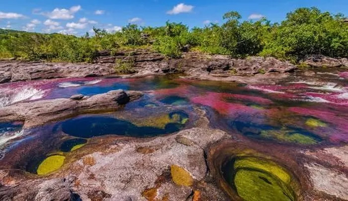 Mỗi năm nơi đây đón chào hàng triệu lượt du khách. Tuy nhiên, sông Cano Cristales chỉ đón du khách từ tháng 6 đến tháng 12. Từ tháng 1 đến tháng 5, khu vực này sẽ đóng cửa để hệ sinh thái nơi đây được “nghỉ ngơi” và bảo toàn.