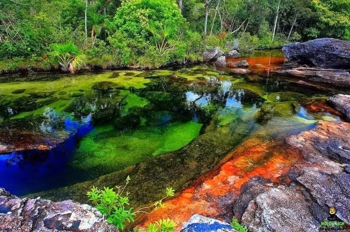 Vào thời điểm giao mùa trong năm thì dòng sông này sẽ mang những màu sắc sặc sỡ khác nhau như đỏ, vàng, lục, lam, đen tạo nên khung cảnh kỳ diệu và hiếm có