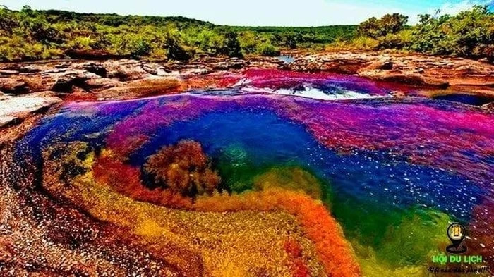 Những màu sắc nổi bật đã tạo nên bức tranh thiên nhiên kỳ thú khiến những ai đến đây và tận mắt chứng kiến khung cảnh này cũng ngỡ ngàng và thán phục sự kỳ diệu của thiên nhiên