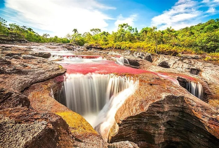 Kiến tạo địa chất của Cano Cristales có nhiều trầm tích, các khối đá ở đây khoảng 1,2 triệu năm tuổi