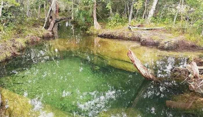 Sông Cano Cristales nằm tại một khu vực khá hẻo lánh và gần như tách biệt hoàn toàn với bên ngoài. Do vậy, dòng sông này vẫn còn giữ nguyên được vẻ đẹp hoang sơ và thơ mộng