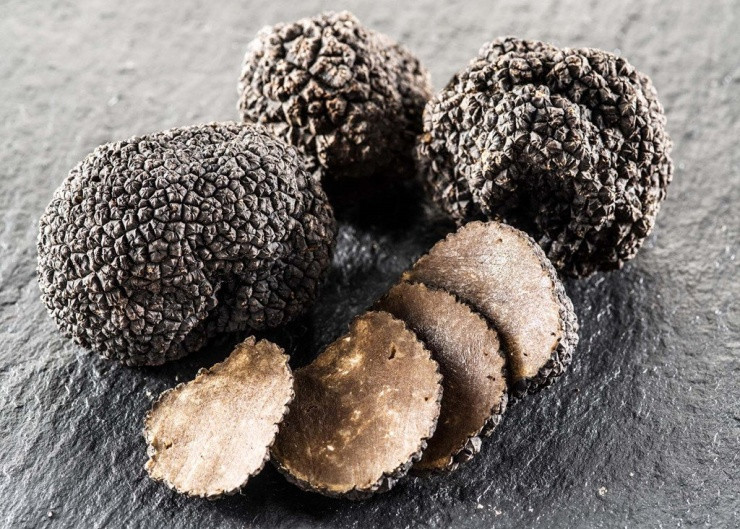 Từ xa xưa, nấm truffle (hay còn gọi là nấm cục) được ca ngợi như "kim cương" trong thế giới ẩm thực. Đây cũng là loại nấm đắt nhất thế giới, chỉ giới siêu giàu mới dám thưởng thức.