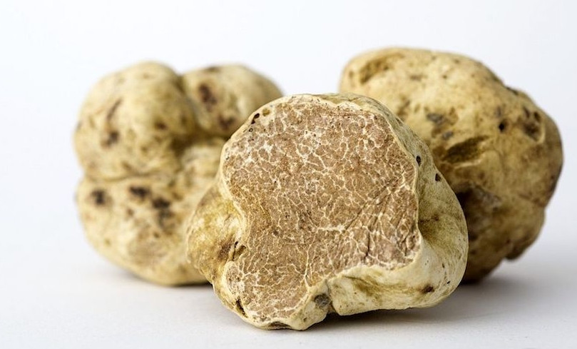 Hương vị của nấm cục bắt nguồn từ mùi thơm đậm đà, mùi đất và xạ hương. Mùi và vị độc đáo của chúng là kết quả của sự kết hợp độc đáo giữa các hợp chất tự nhiên có trong nấm truffle.