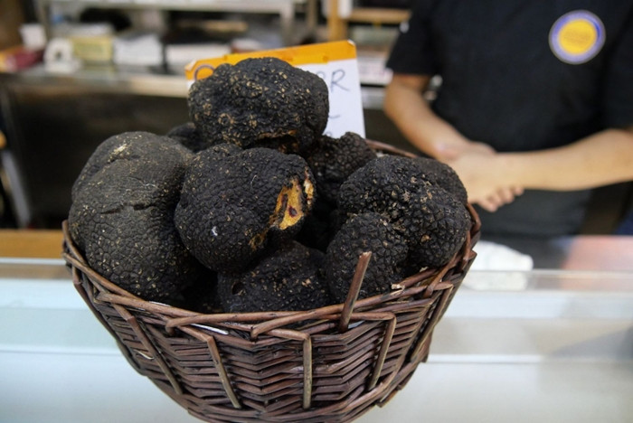 Nấm cục tạo ra mùi mạnh để thu hút động vật, chẳng hạn như lợn ăn chúng. Các bào tử sau đó phân tán qua phân của động vật này.