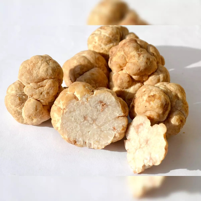 Nấm cục trắng, đặc biệt là nấm từ miền Bắc nước Ý, được đánh giá cao nhất.