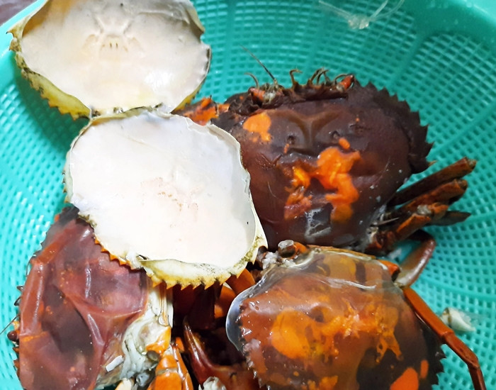 Lớp vỏ ngoài cua cốm thường rất mỏng. Lớp vỏ bên trong do mới hình thành nên khi ăn có cảm giác bùi bùi, thịt rất ngọt và gạch béo. Ảnh: Dân Việt