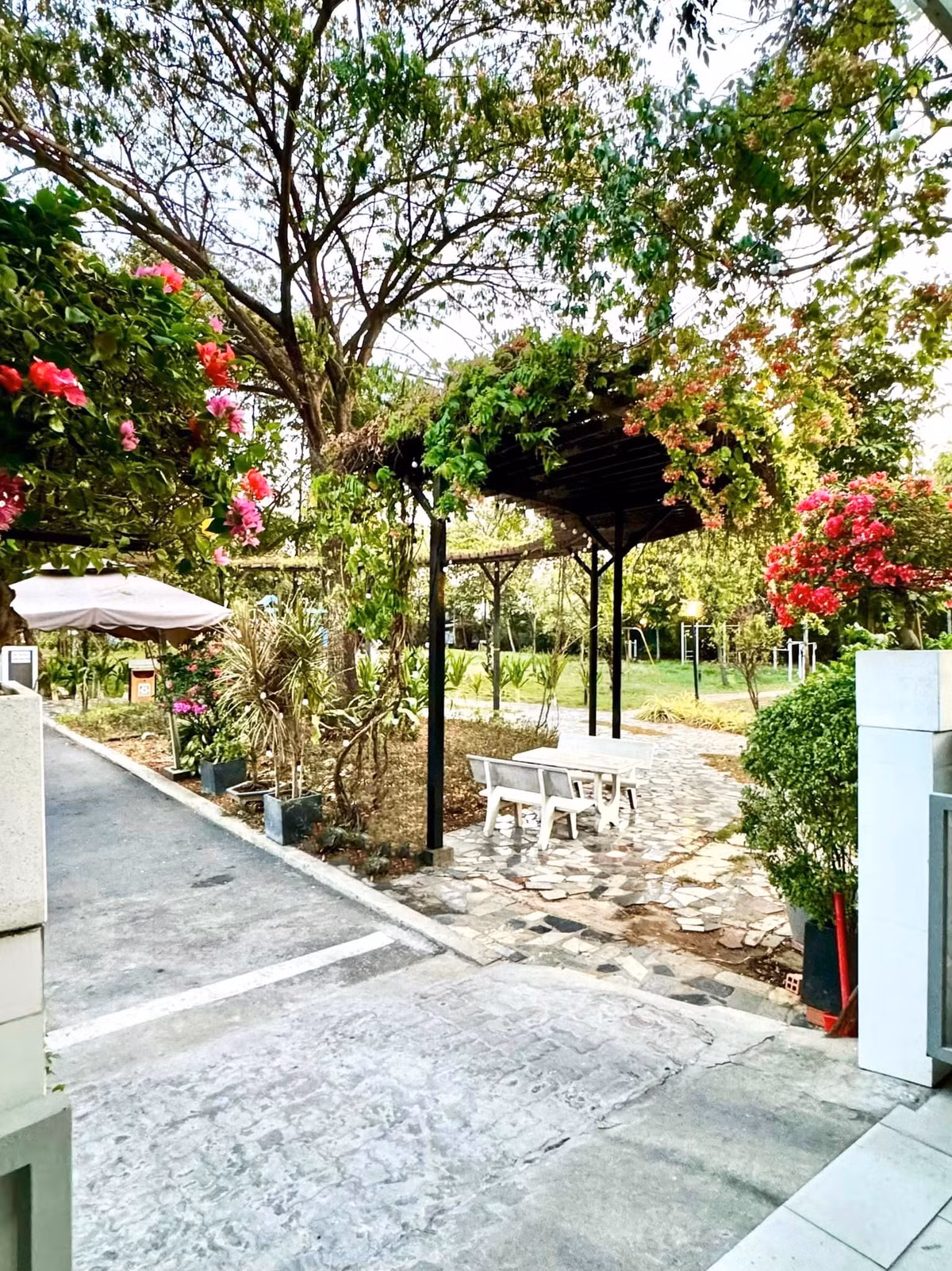 Xung quanh ngôi nhà hoa giăng khắp lối.