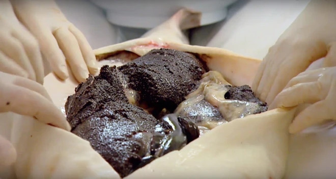 Trong đó, trứng cá Beluga ở khu vực phía nam nước Nga là loại trứng cá đắt nhất. Trứng cá Ossetra và Sevruga cũng đắt đỏ không kém. Ảnh: Robbreport