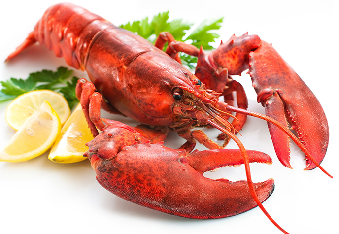 Tại thị trường Việt Nam, tôm hùm Alaska trước kia được đánh giá là loại hải sản cao cấp chỉ dành cho giới “nhà giàu” khi có giá 1,2-1,7 triệu đồng/kg, tùy loại.