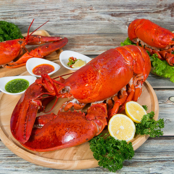 Theo đó, mỗi con tôm hùm Alaska nặng từ 2-6kg có giá từ vài triệu đồng tới cả chục triệu đồng.