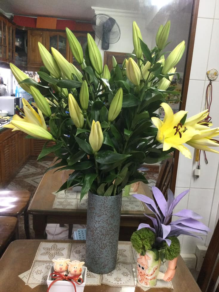 Trước đó, nữ nghệ sĩ thường xuyên chia sẻ nhiều bình hoa đẹp khác nhau trong nhà. Ảnh: FB Nguyễn Minh Vượng