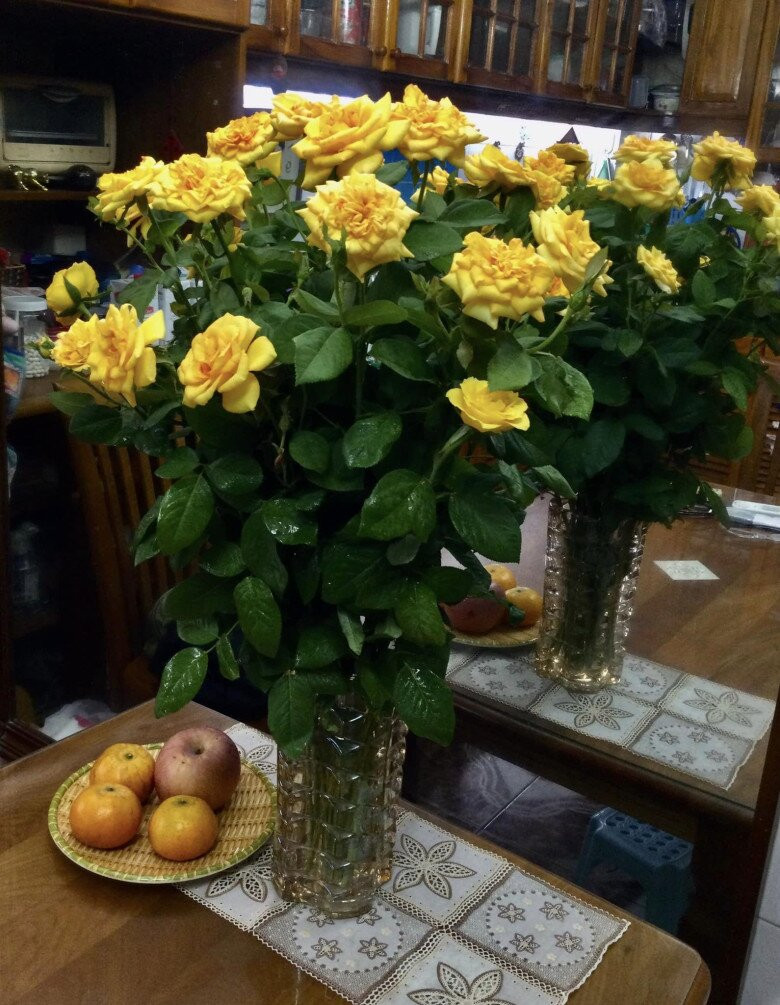 Những bông hồng vàng tỏa hương thơm ngát. Ảnh: FB Nguyễn Minh Vượng