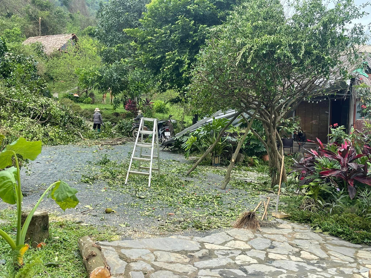 Qua loạt ảnh chia sẻ, có thể thấy rất nhiều cây cối trong vườn bị gãy đổ. Ảnh: FB Trần Việt Hoàn